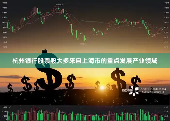 杭州银行股票股大多来自上海市的重点发展产业领域