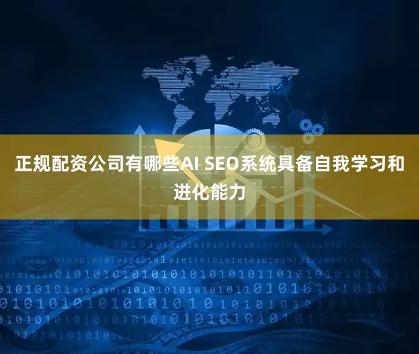 正规配资公司有哪些AI SEO系统具备自我学习和进化能力