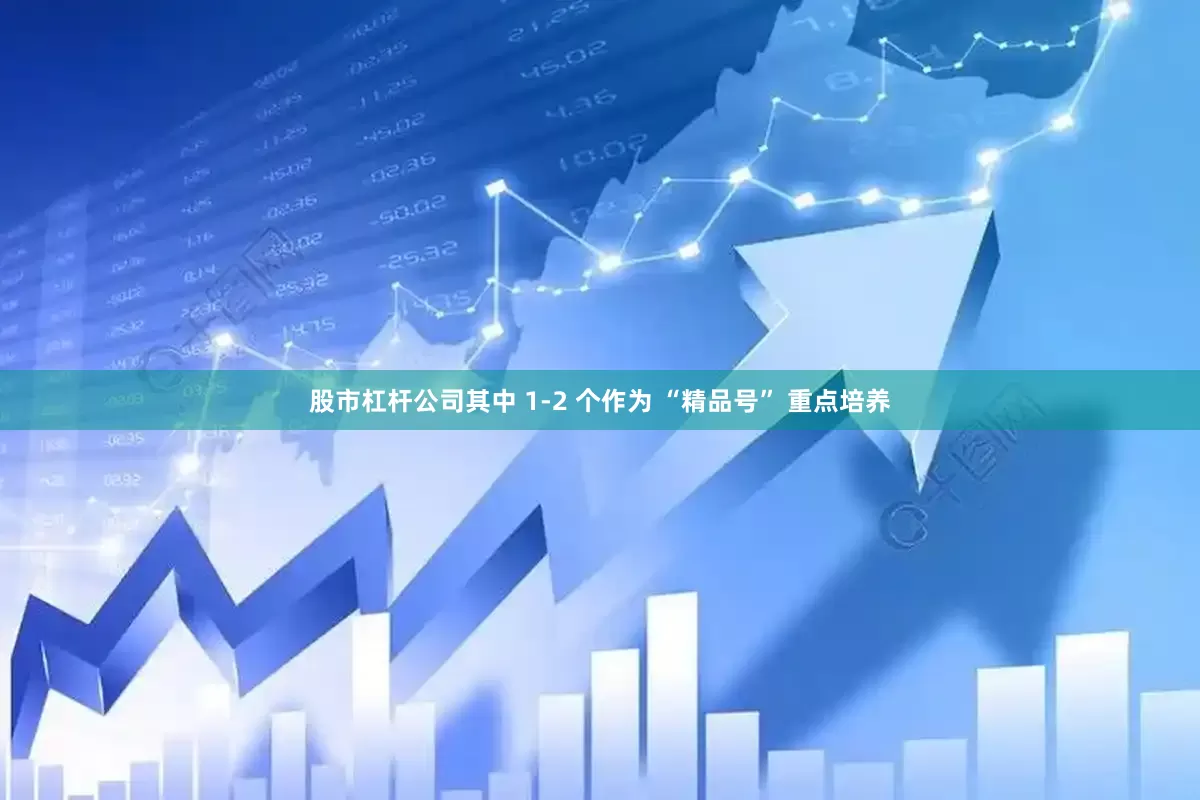 股市杠杆公司其中 1-2 个作为 “精品号” 重点培养
