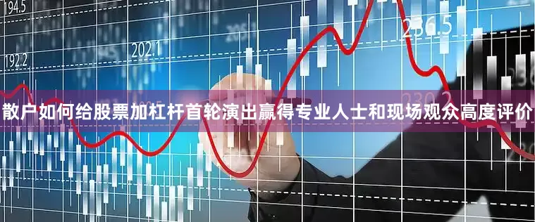 散户如何给股票加杠杆首轮演出赢得专业人士和现场观众高度评价
