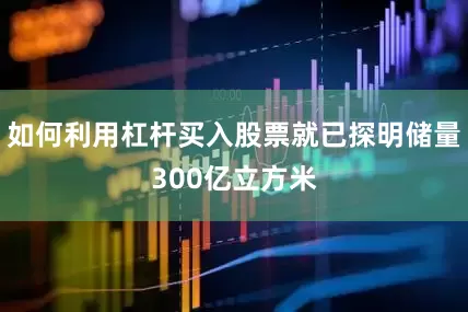 如何利用杠杆买入股票就已探明储量300亿立方米