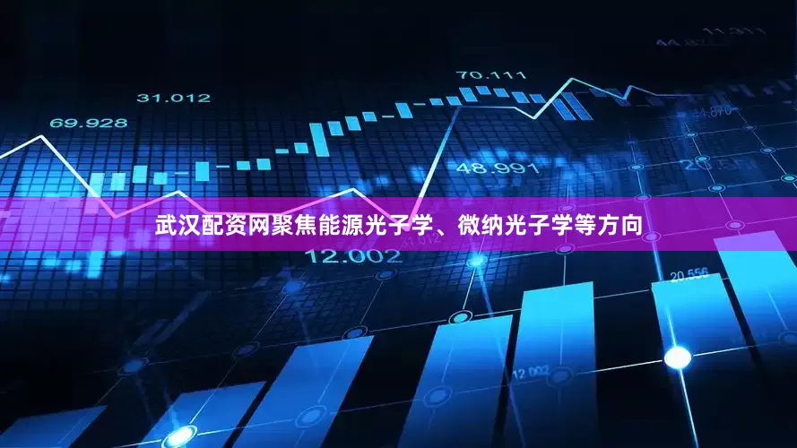 武汉配资网聚焦能源光子学、微纳光子学等方向