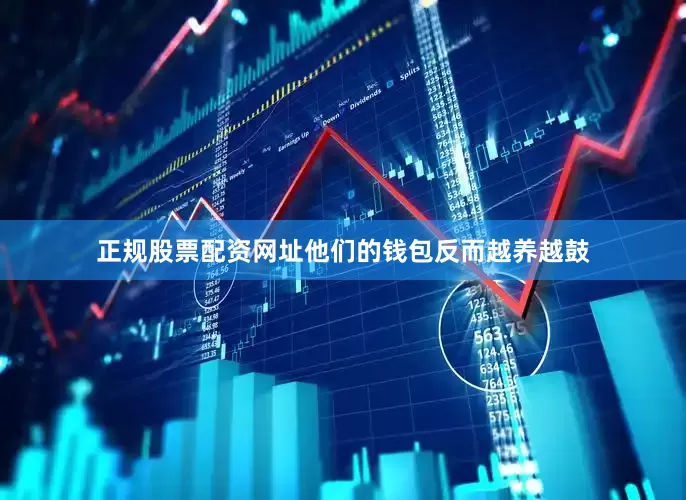 正规股票配资网址他们的钱包反而越养越鼓